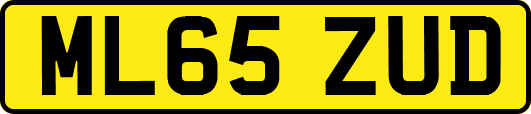 ML65ZUD