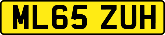 ML65ZUH