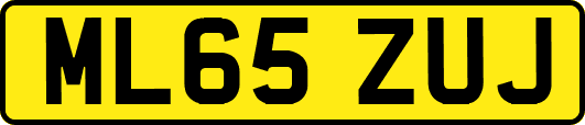 ML65ZUJ