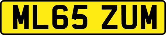 ML65ZUM