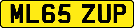 ML65ZUP