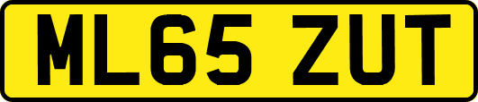 ML65ZUT