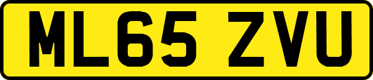 ML65ZVU