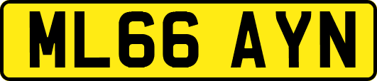 ML66AYN
