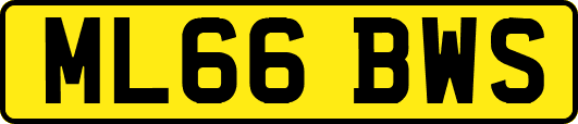 ML66BWS