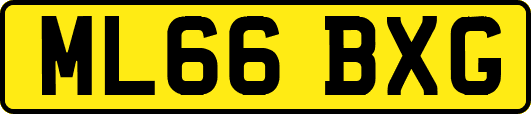ML66BXG