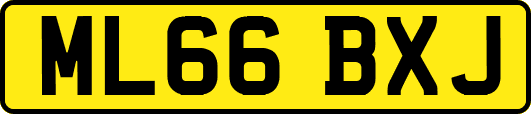 ML66BXJ