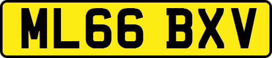 ML66BXV
