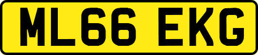 ML66EKG