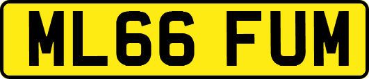 ML66FUM