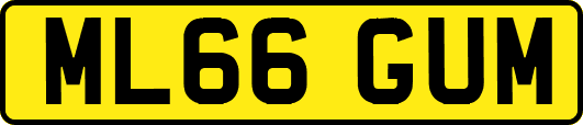 ML66GUM