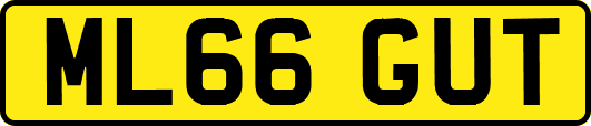ML66GUT