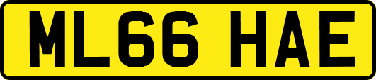 ML66HAE