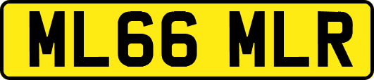 ML66MLR