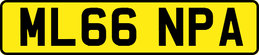 ML66NPA
