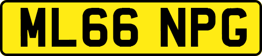 ML66NPG