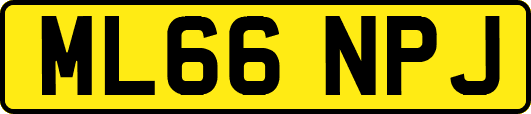 ML66NPJ