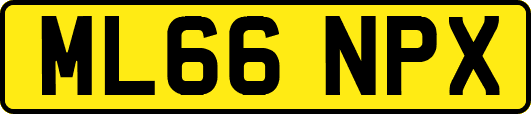ML66NPX