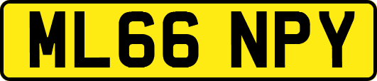 ML66NPY