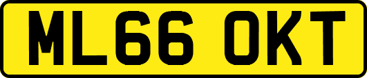 ML66OKT