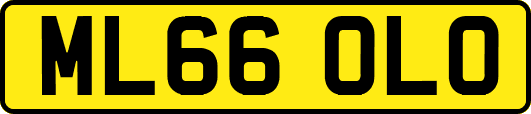 ML66OLO