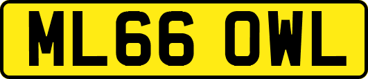 ML66OWL