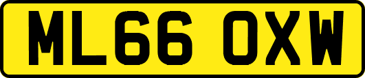 ML66OXW