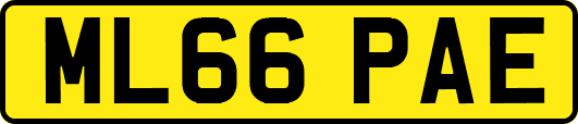 ML66PAE