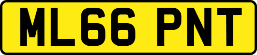 ML66PNT