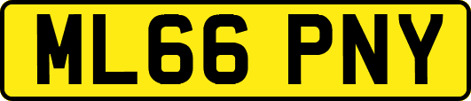ML66PNY