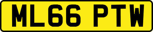 ML66PTW