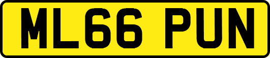 ML66PUN