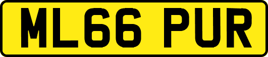 ML66PUR