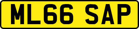 ML66SAP