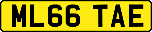 ML66TAE