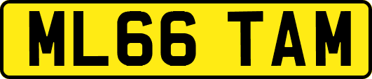 ML66TAM