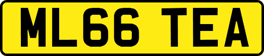 ML66TEA