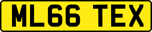 ML66TEX