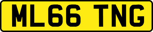 ML66TNG