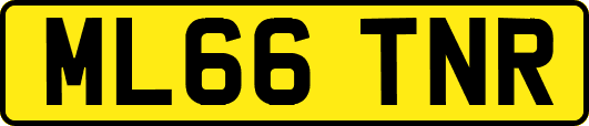 ML66TNR