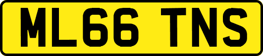 ML66TNS