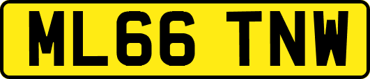 ML66TNW