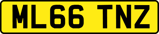 ML66TNZ