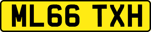 ML66TXH