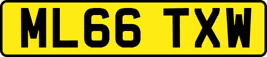 ML66TXW