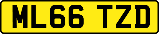 ML66TZD
