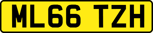 ML66TZH
