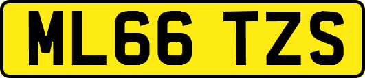 ML66TZS
