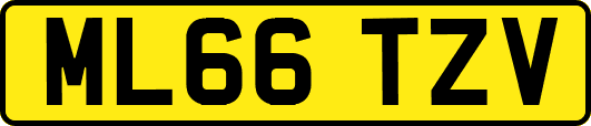 ML66TZV