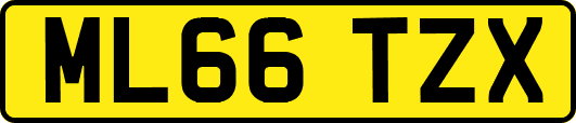 ML66TZX